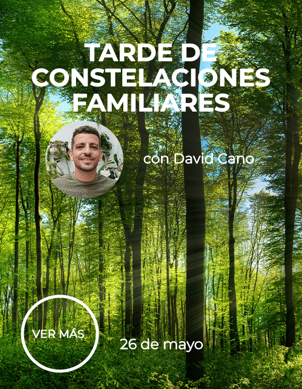 http://TARDE%20DE%20CONSTELACIONES%20FAMILIARES