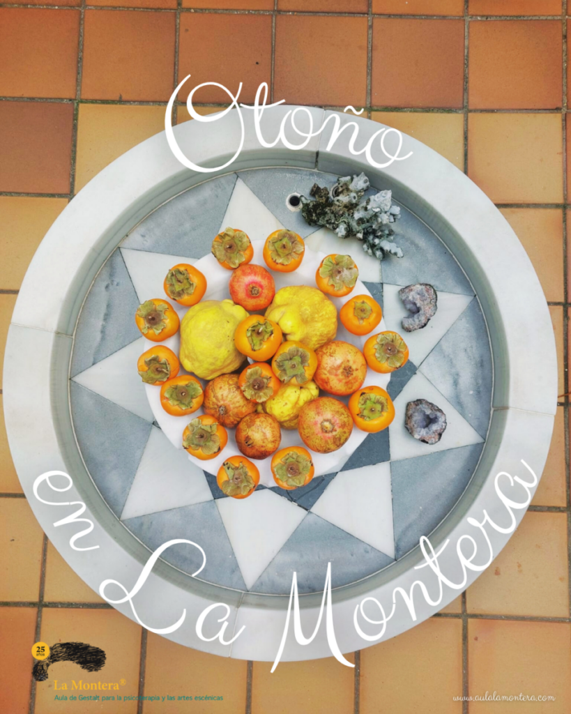 OTOÑO EN LA MONTERA 🍂